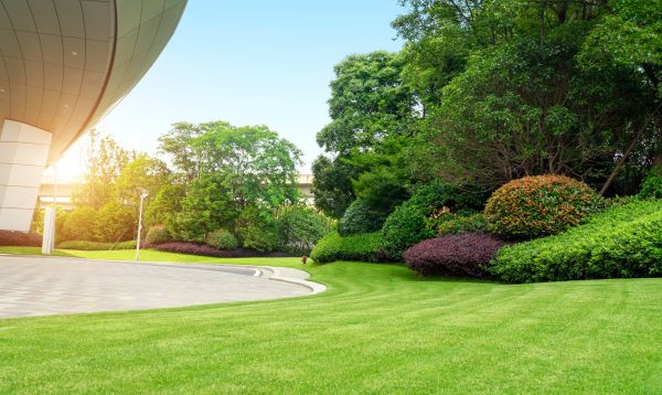 Cost of Commercial Shrub Trimming in Bloomington