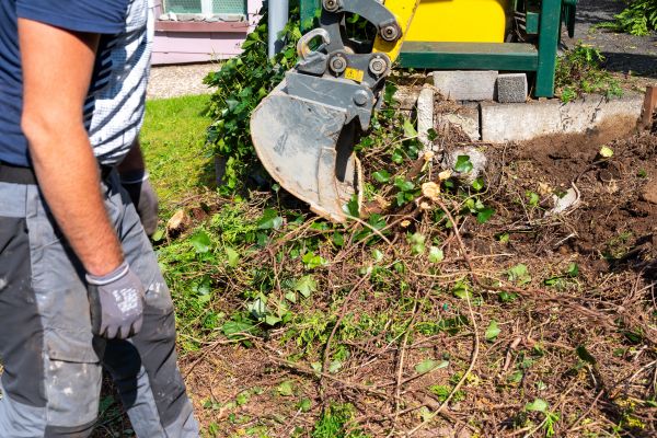 Cost of Hedge Removal Service in Bloomington