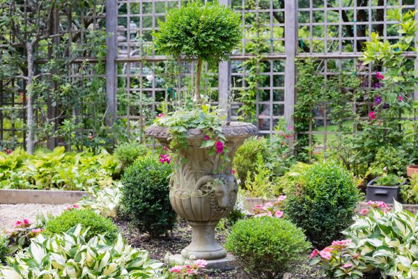 Cost of Topiary Pruning in Bloomington