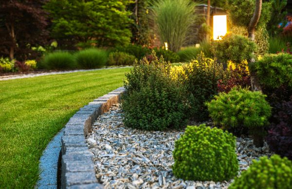Cost of Bush Relocation in Bloomington
