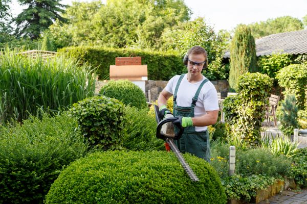 Cost of Shrubs Trimming in Bloomington