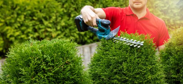 Cost of Hedge Shaping Service in Bloomington